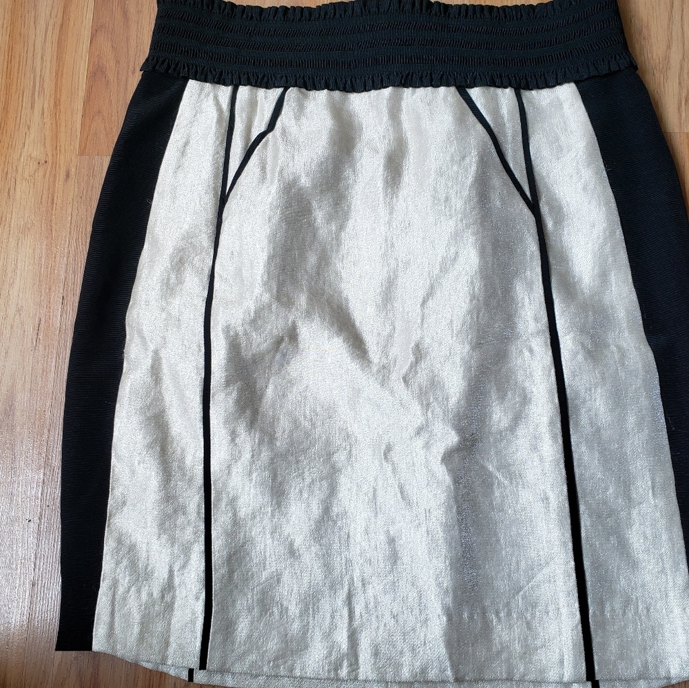 H&M Skirt